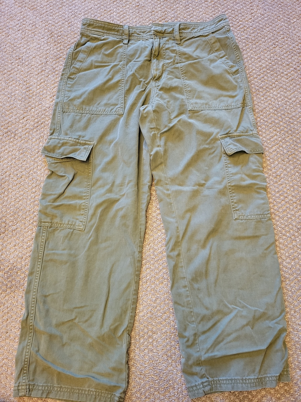 American Eagle Outfitters Sage Green Cargo Pants - Picture 2 of 6